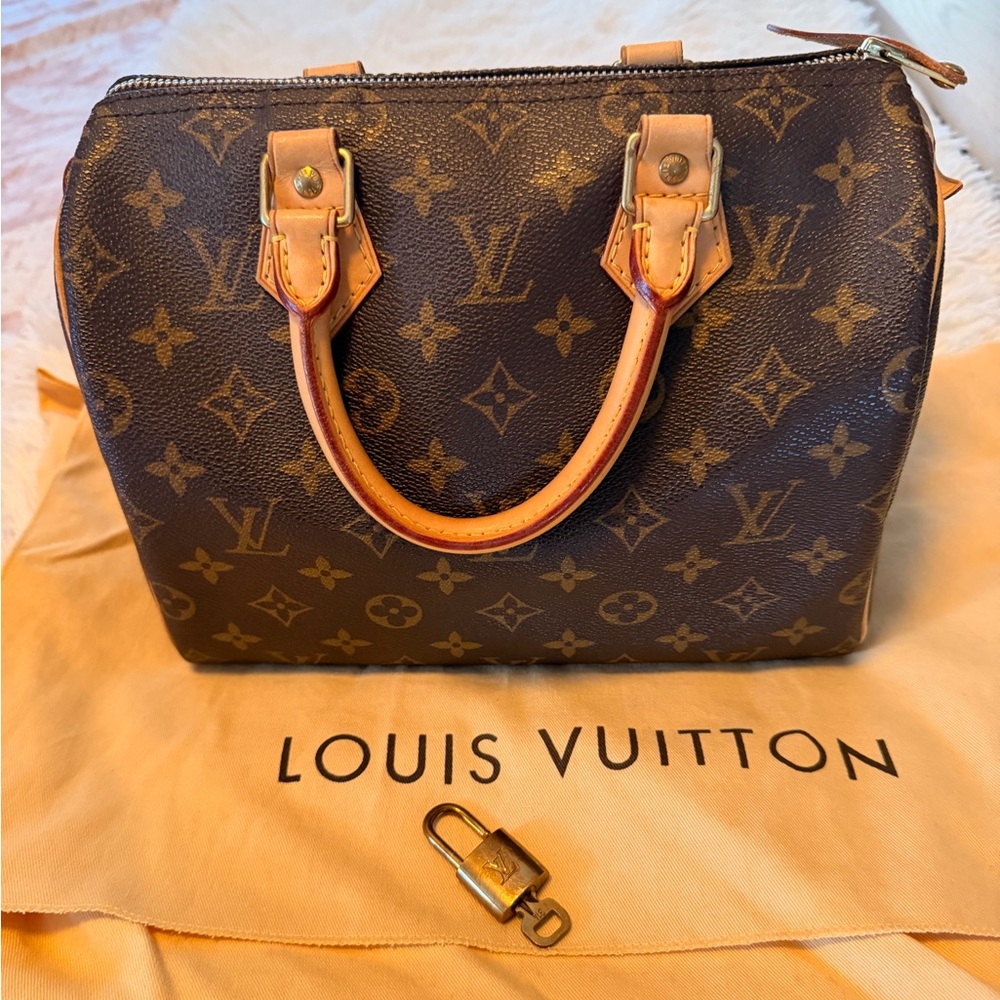 Louis Vuitton Classic Brown Monogram Satchel